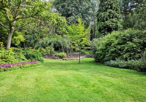 Optimiser l'expérience du jardin à Conge-sur-Orne