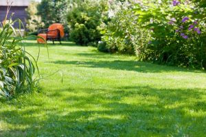 travaux jardin et paysage Conge-sur-Orne